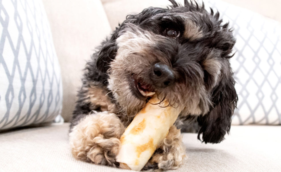Earth Animal No-Hide Chews