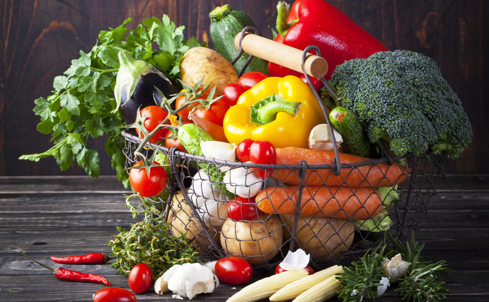 Does My Companion Need a Special Senior Diet?
