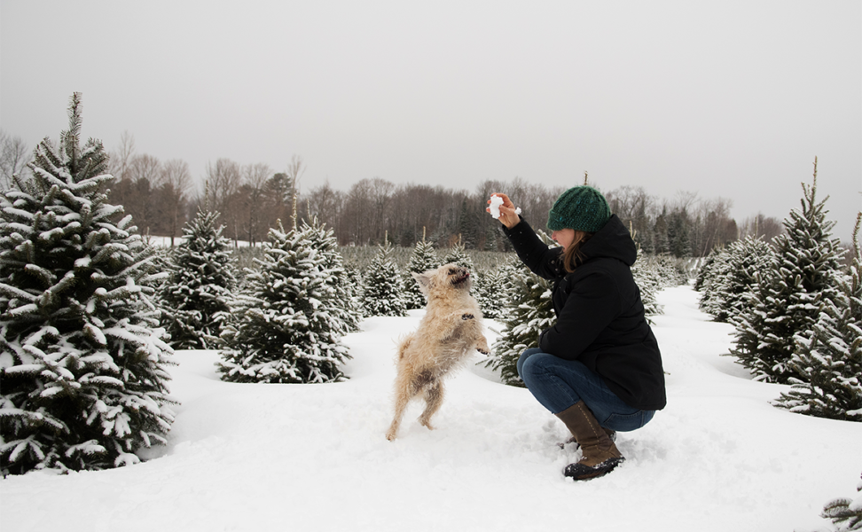 Cold Weather Care for Animals