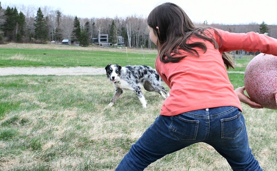 Children and Companion Animals