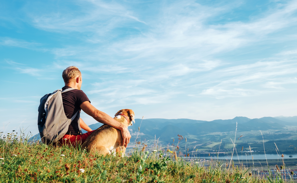 How You Can Be a More Responsible Pet Parent