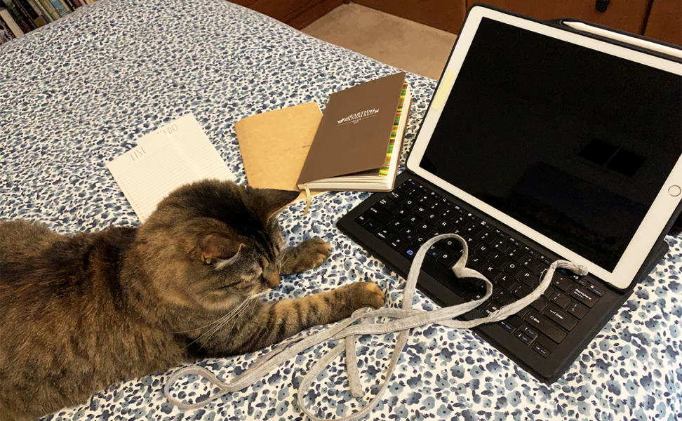It's Bring Your Animal to Work Day Everyday When You Work from Home!