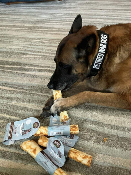 Honoring our Working Dogs - Labor Day Edition
