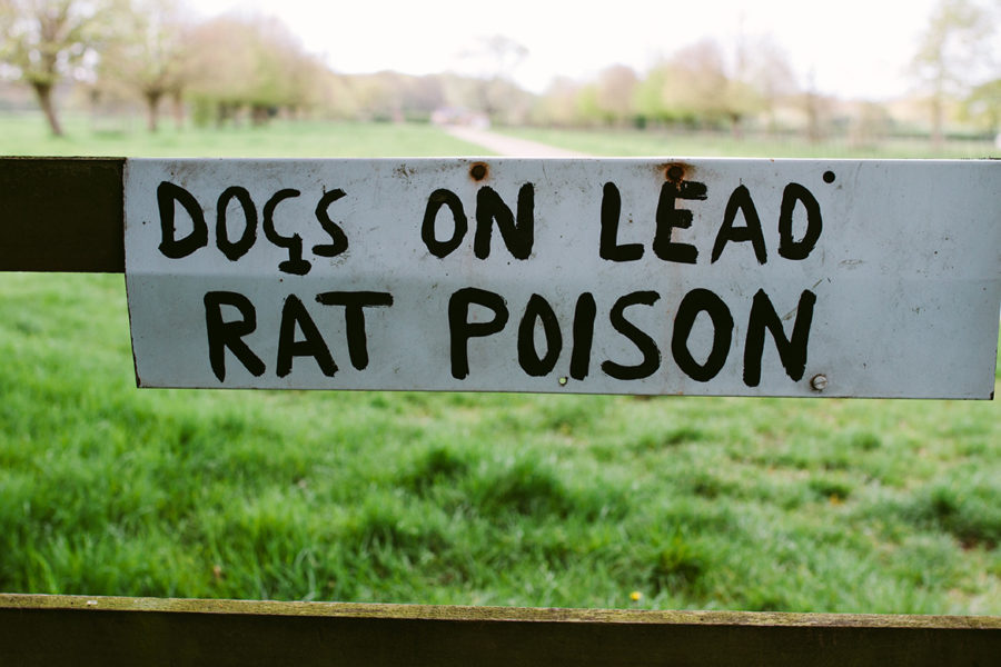 Animal Poison Protection