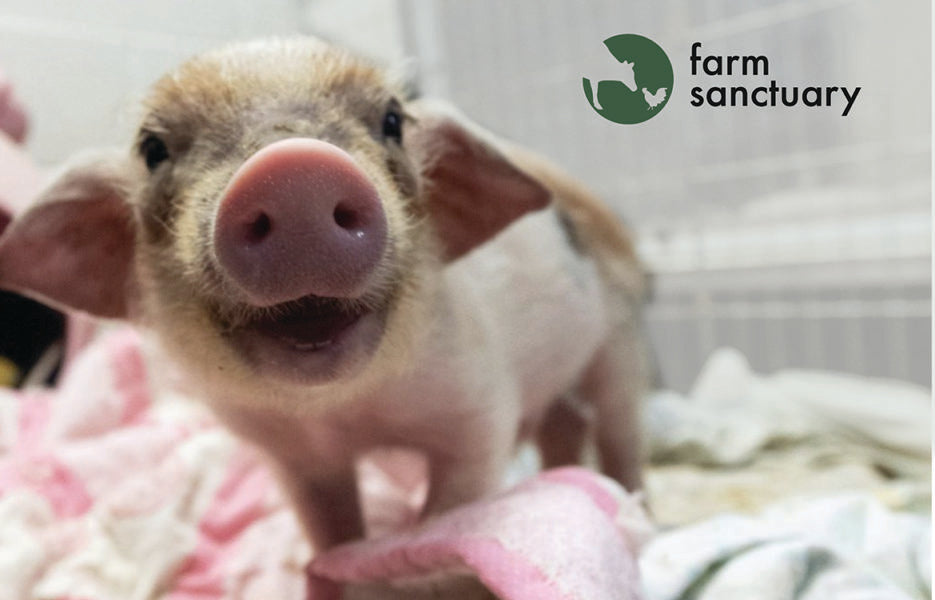 Earth Animal's 1% Promise - Farm Sanctuary