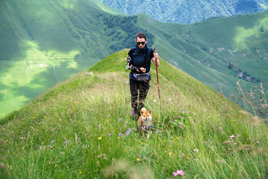 Great Outdoors Month - Visit a National Park