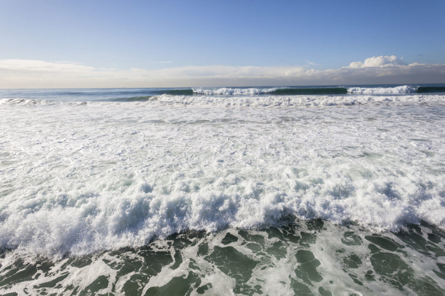 Celebrating World Oceans Day