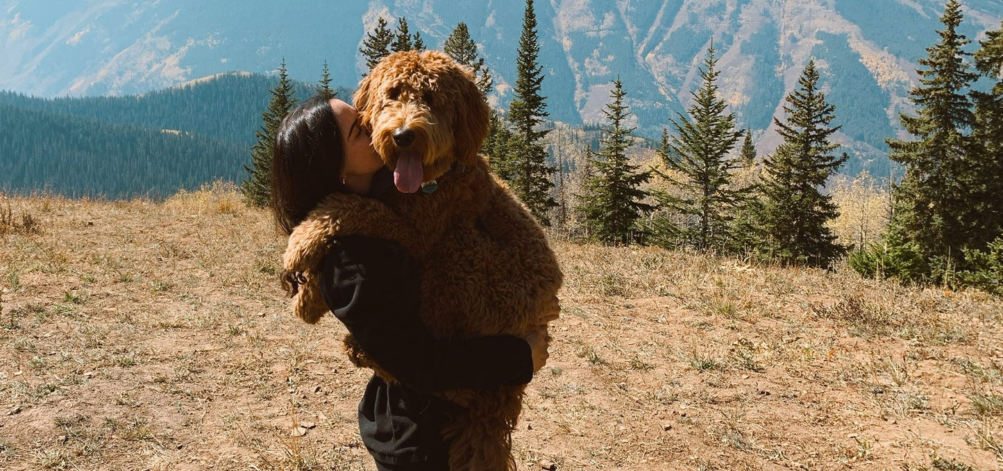 How to Choose Earth-Friendly Pet Products