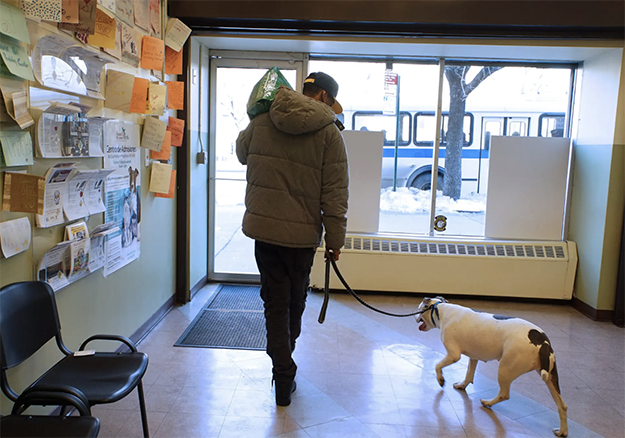 Helping Hungry People and Pets