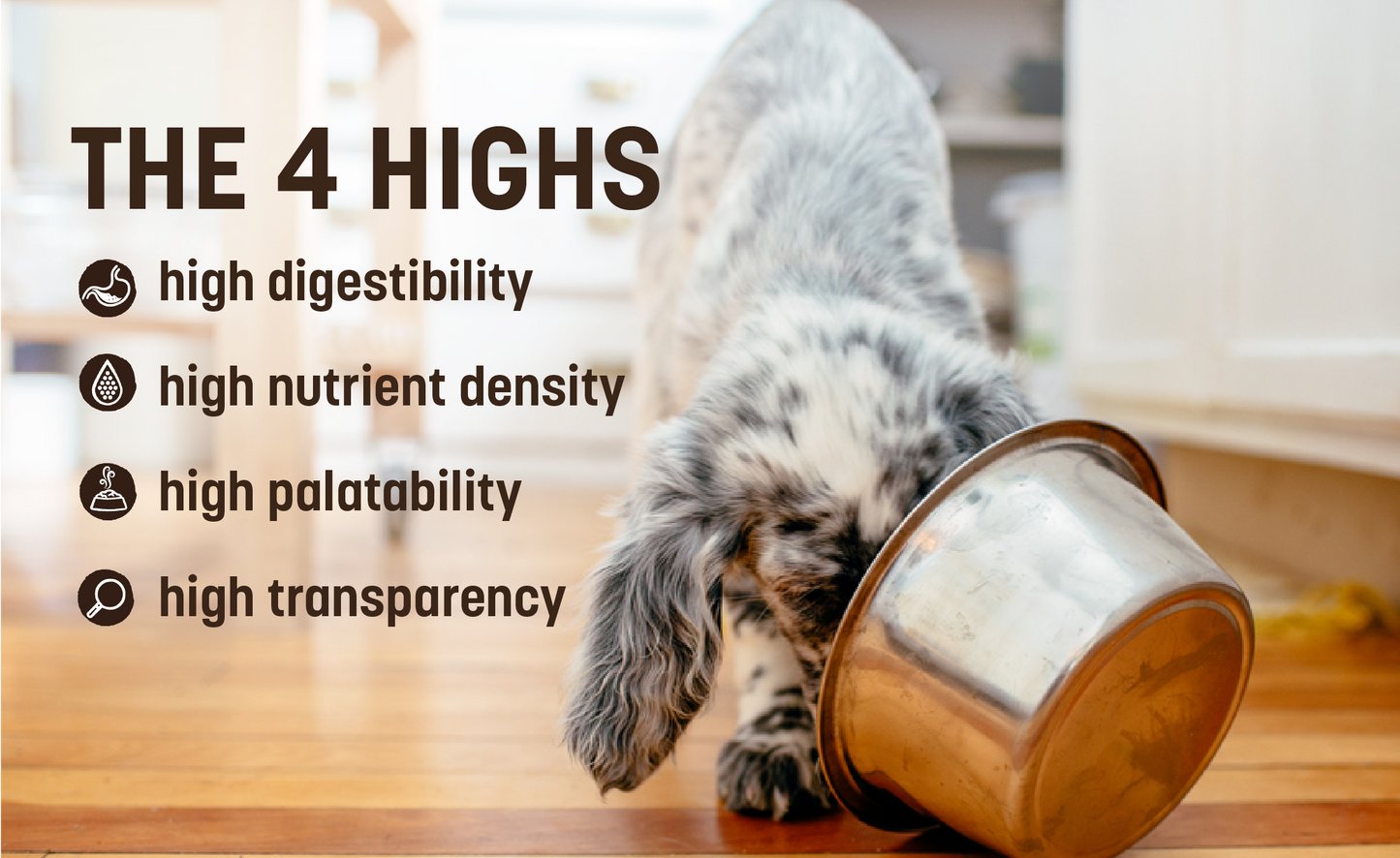 Choosing a Quality Pet Food