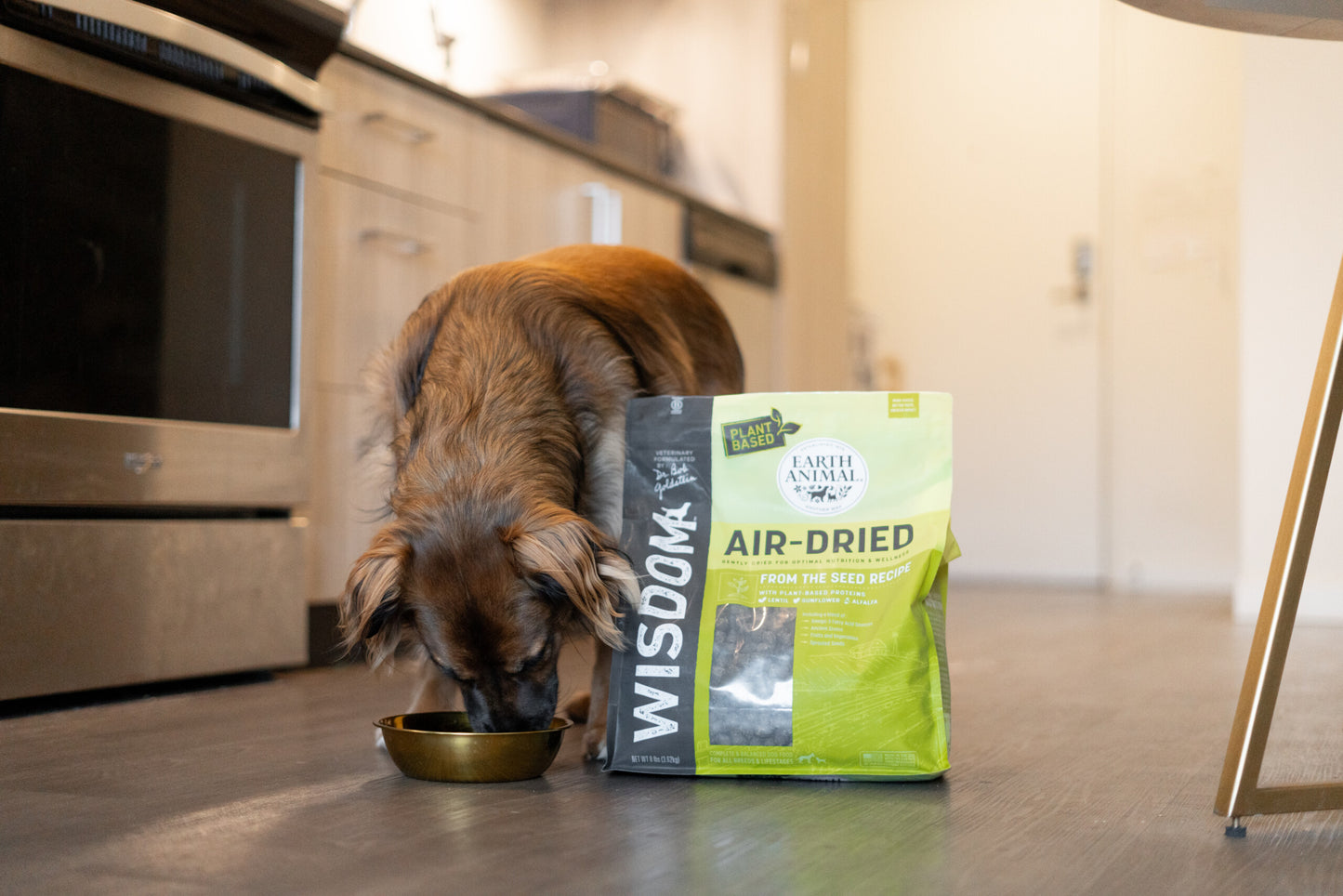 Yes, Dogs CAN Thrive on a Plant-Based Diet!