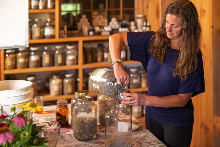 Harnessing the Power of Plants