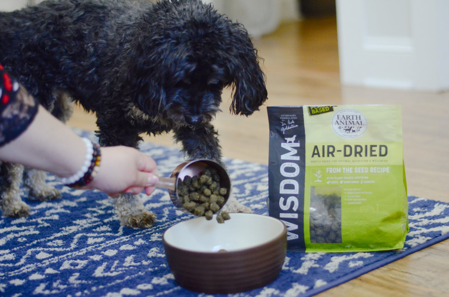 Breaking: Plant-Based Diets for Dogs Are Healthy!