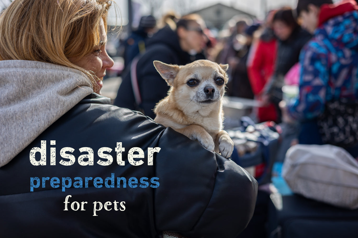 Disaster Preparedness for Pets and Pet Parents