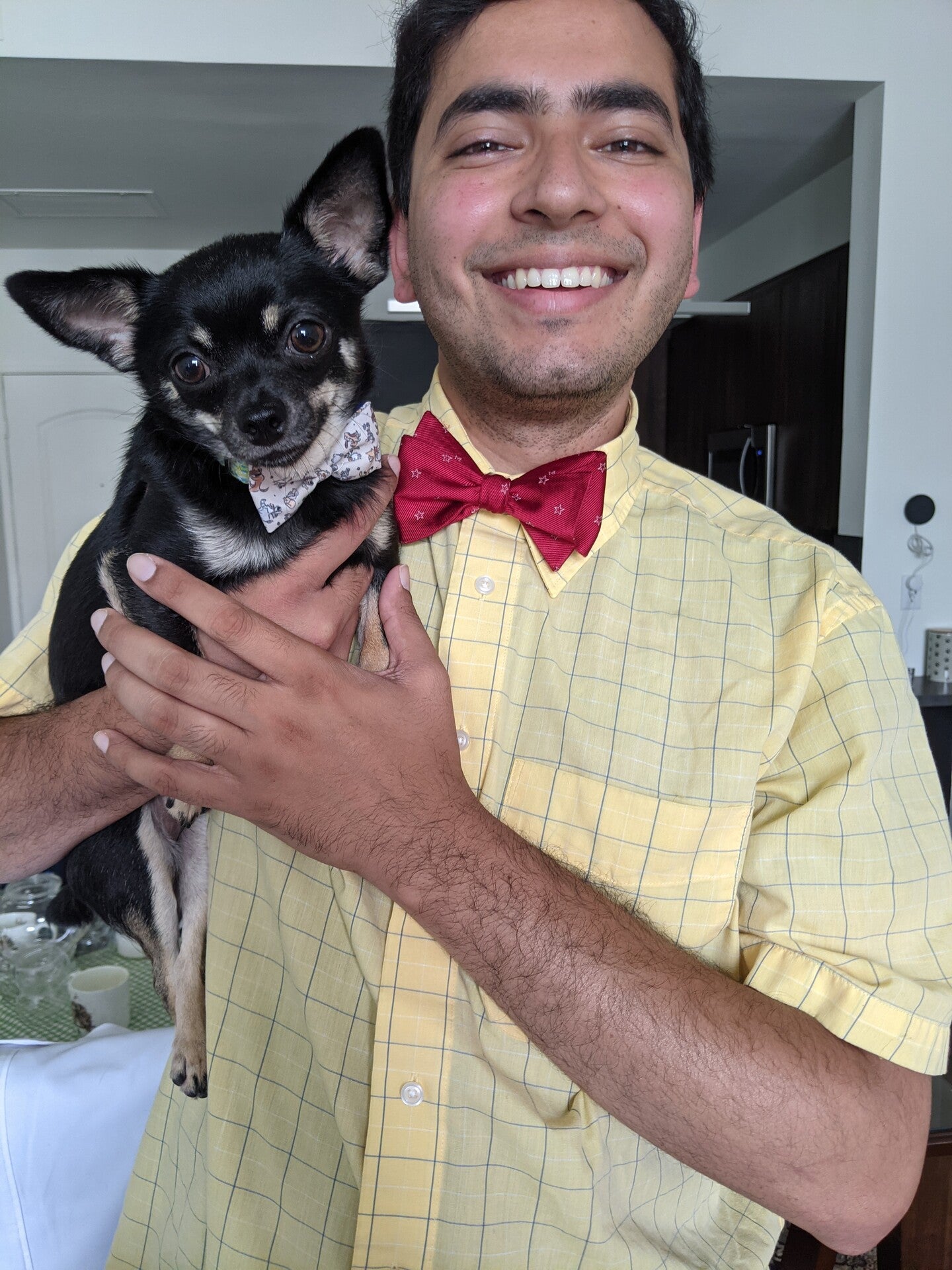 Back-to-School Homework for Your Furry Friends