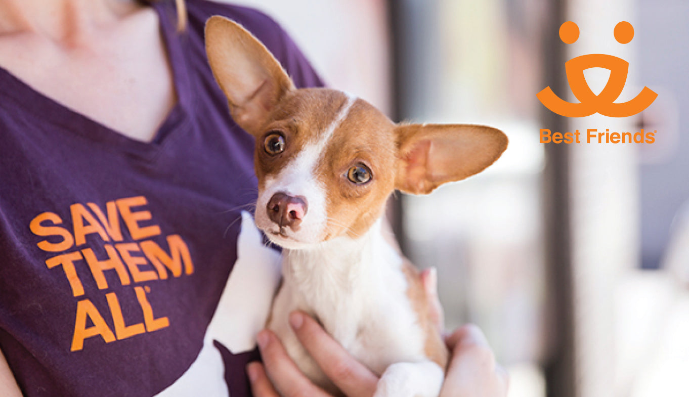 Earth Animal's 1% Promise - Best Friends Animal Society