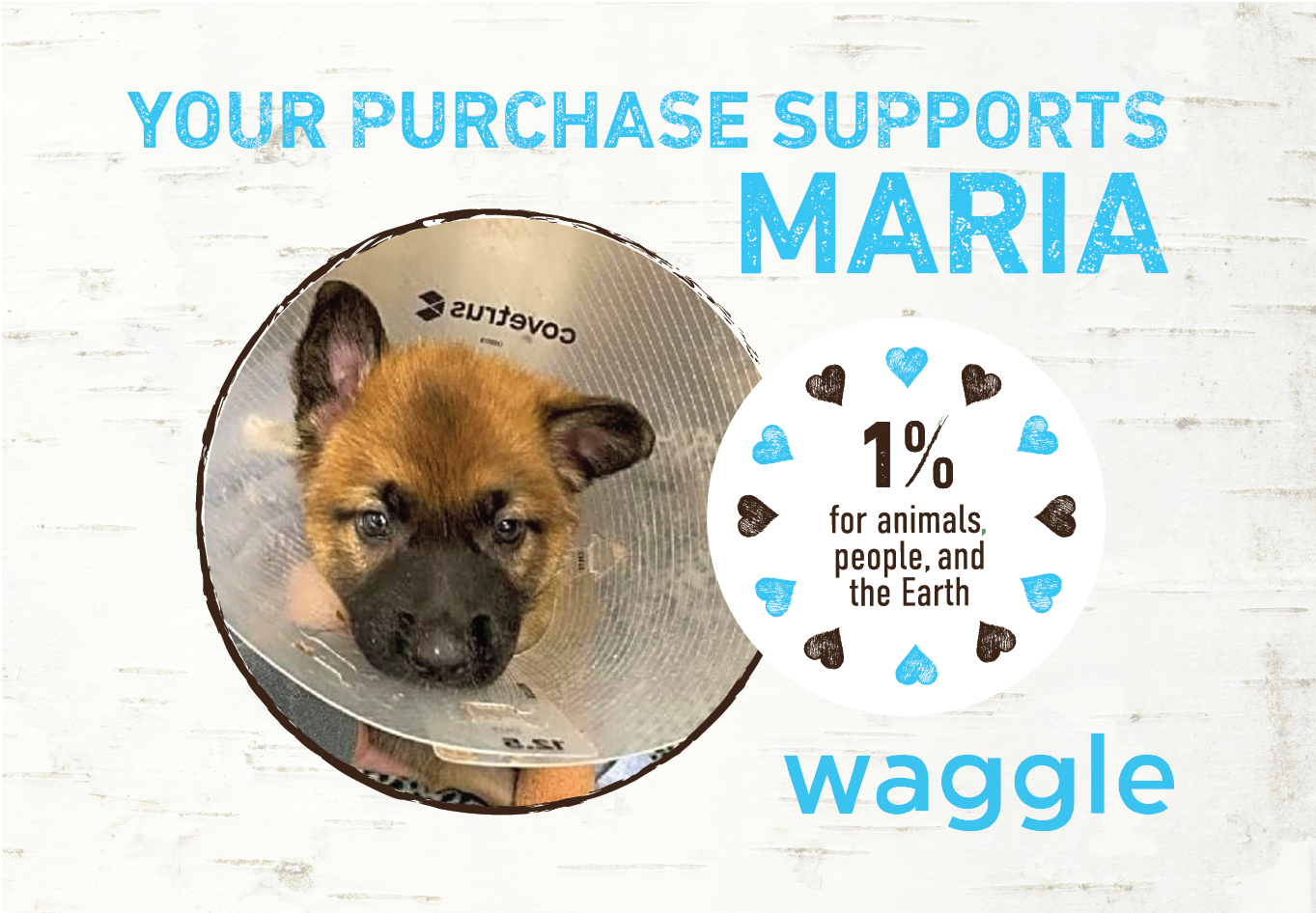 Your Support Saves Animals in Need