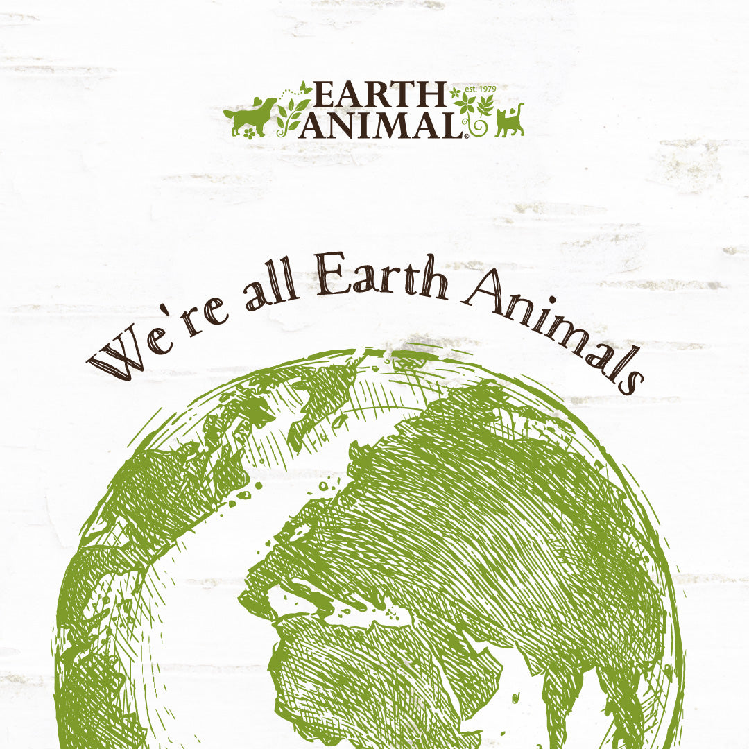 Earth Animal's 1% Promise - Our 2021 Roundup