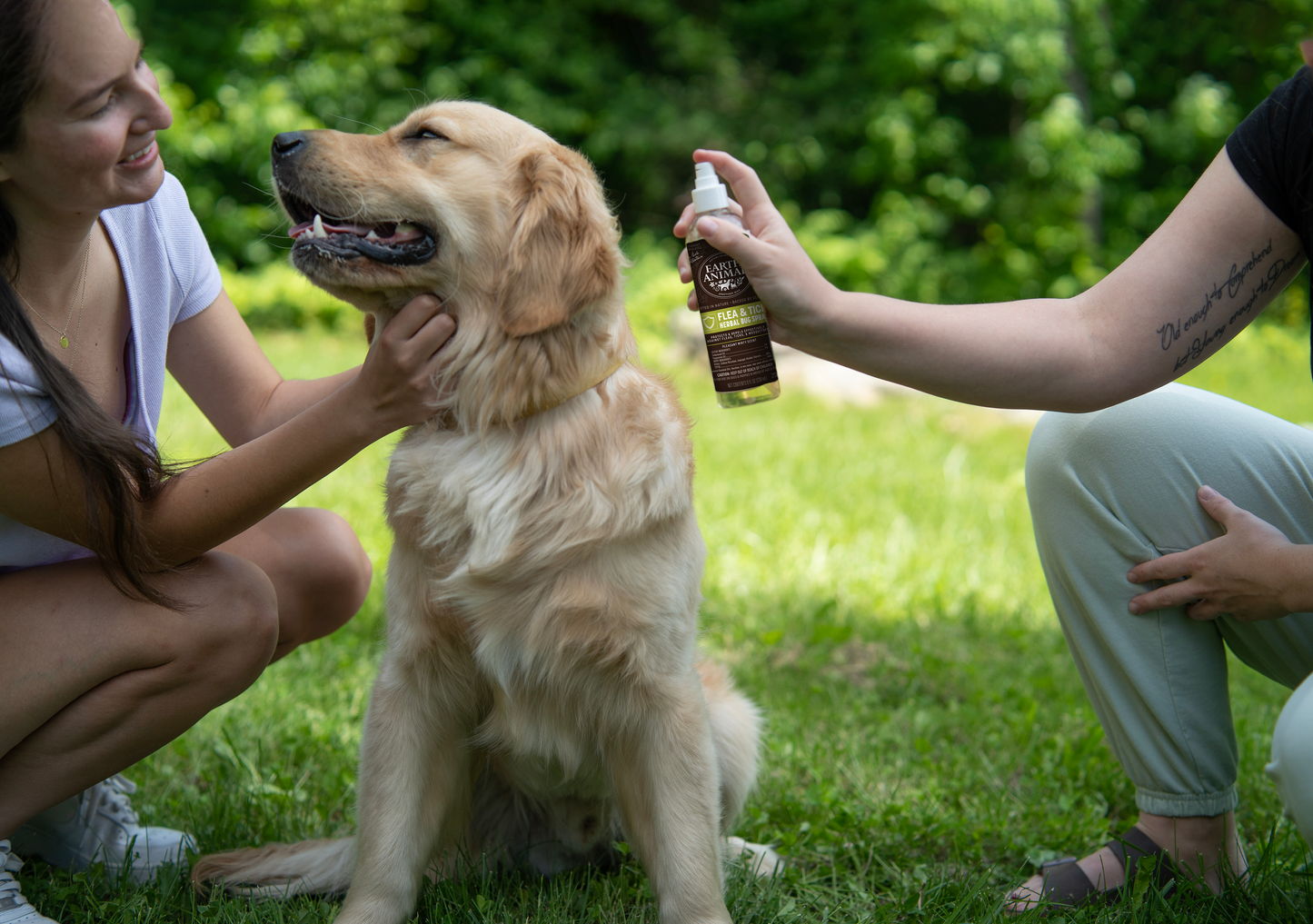 Natural Flea & Tick Prevention (That Really Works!)