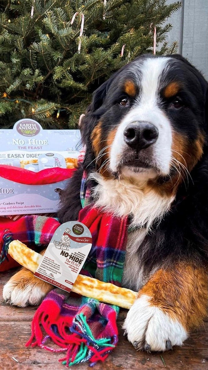 A Holiday Season Good for all Earth Animals