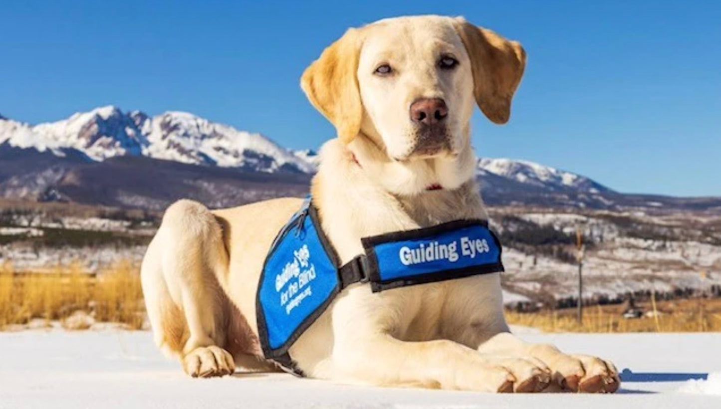 September is Service Dog Month