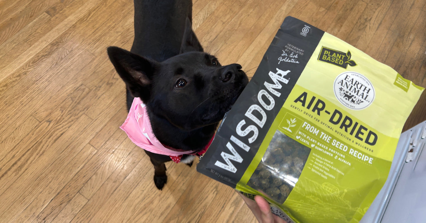 Top Reasons to Feed Your Dog Novel Proteins