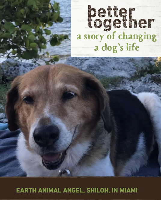 How NinaMarie Changed Shiloh's Life