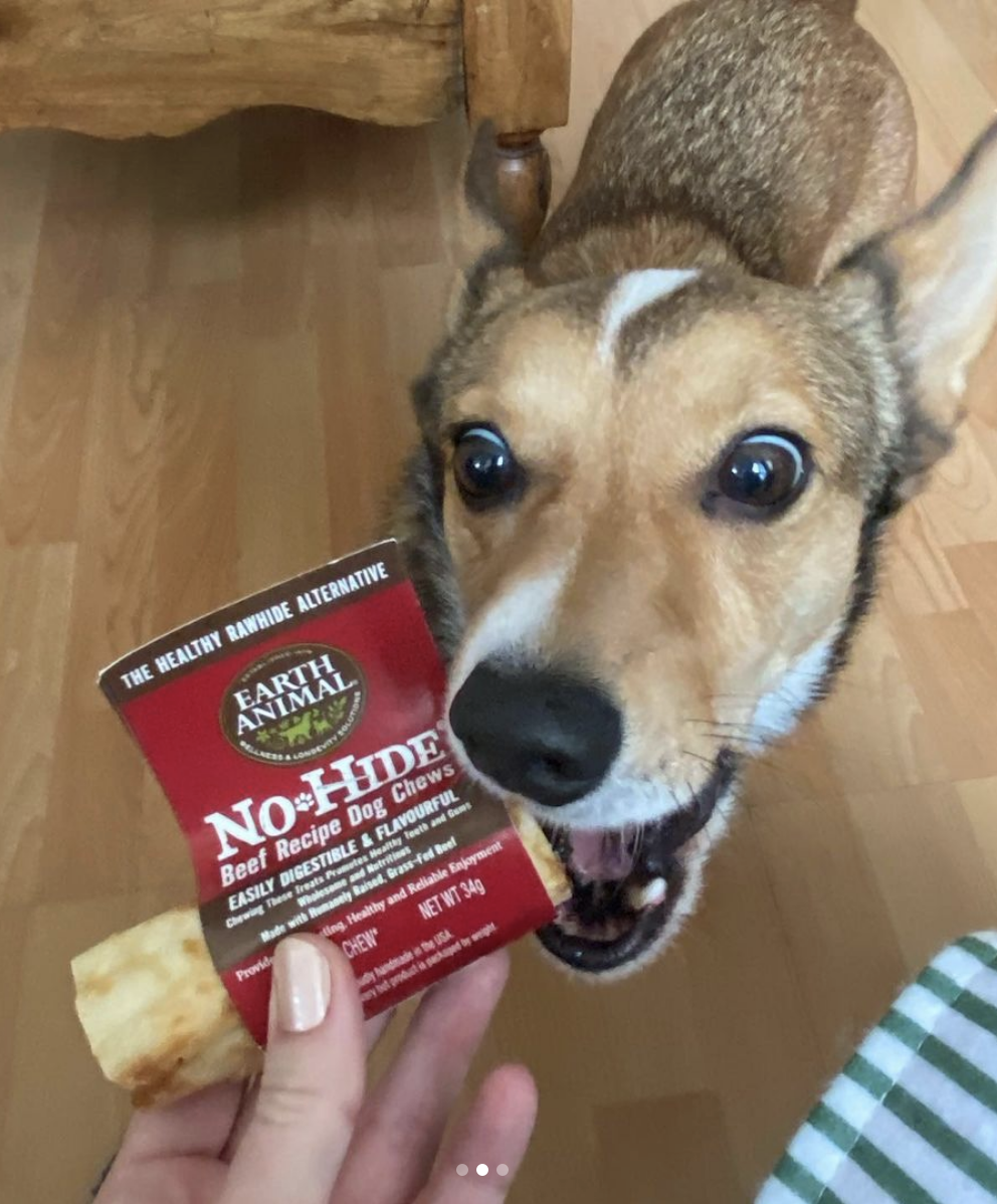 No-Hide Chews: The Sustainable Choice