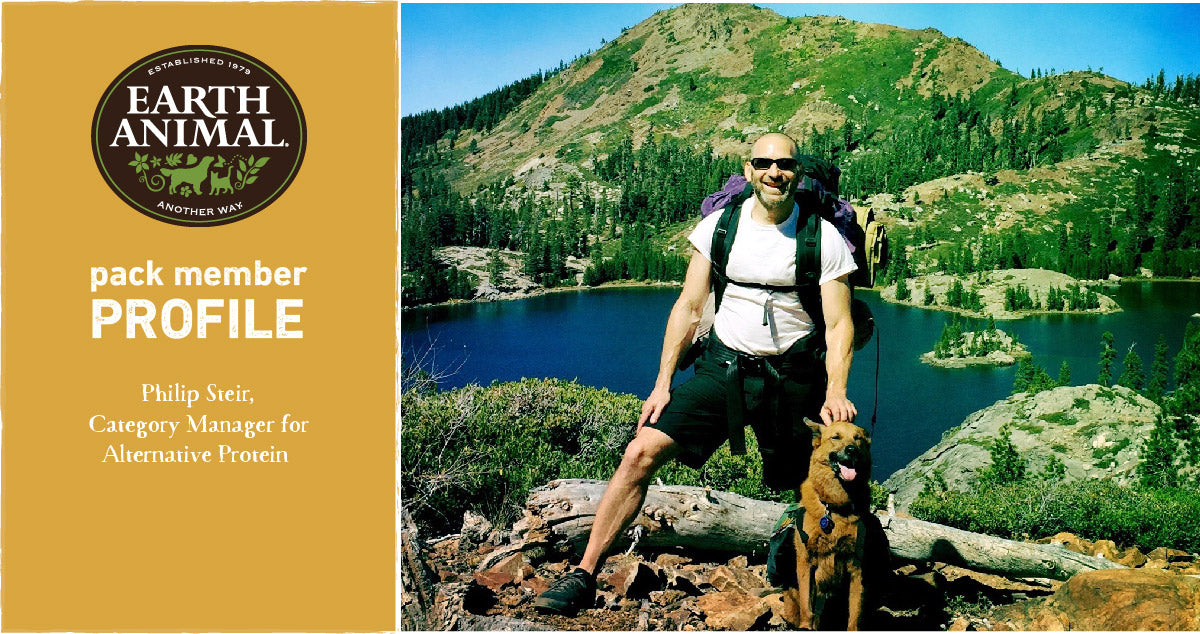 Pack Spotlight: Philip Steir