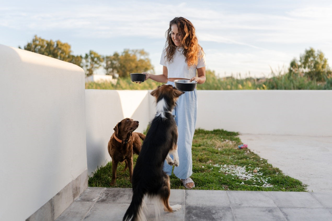 How Sourcing Can Impact Pet Nutrition & The Planet
