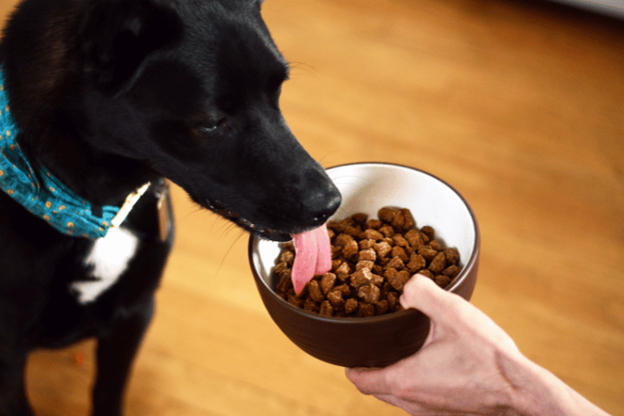The Advantages of Air-Dried Dog Food