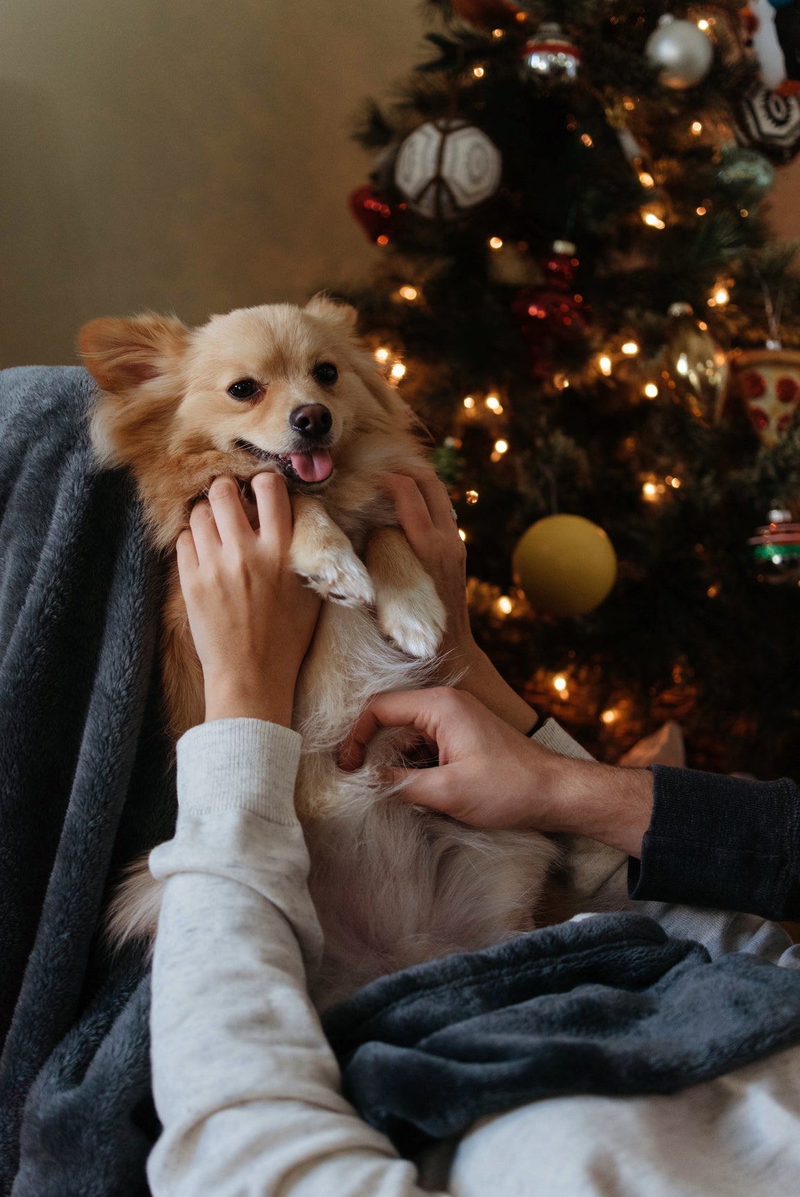 #ShareJoy this holiday season: We're searching for stars