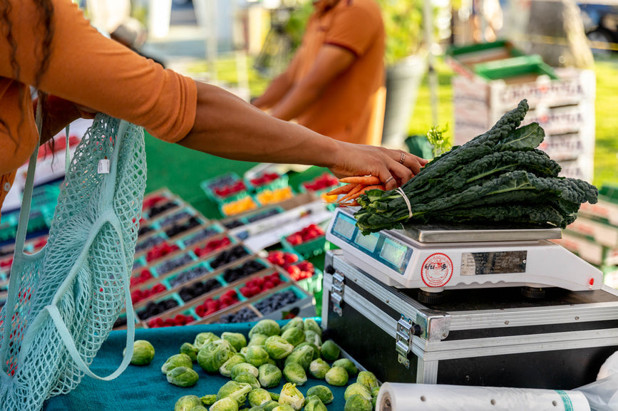 It's Plastic-Free July!