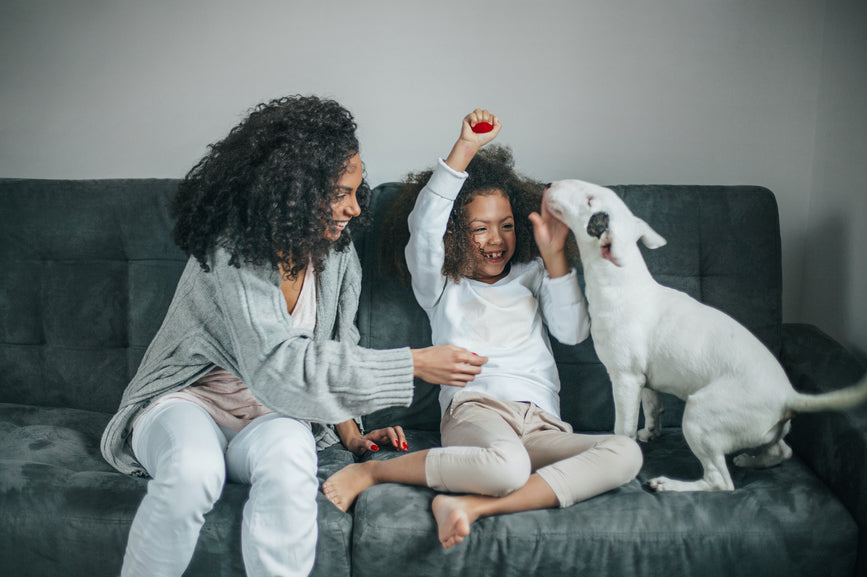 5 Ways to Mentally Stimulate Your Dog