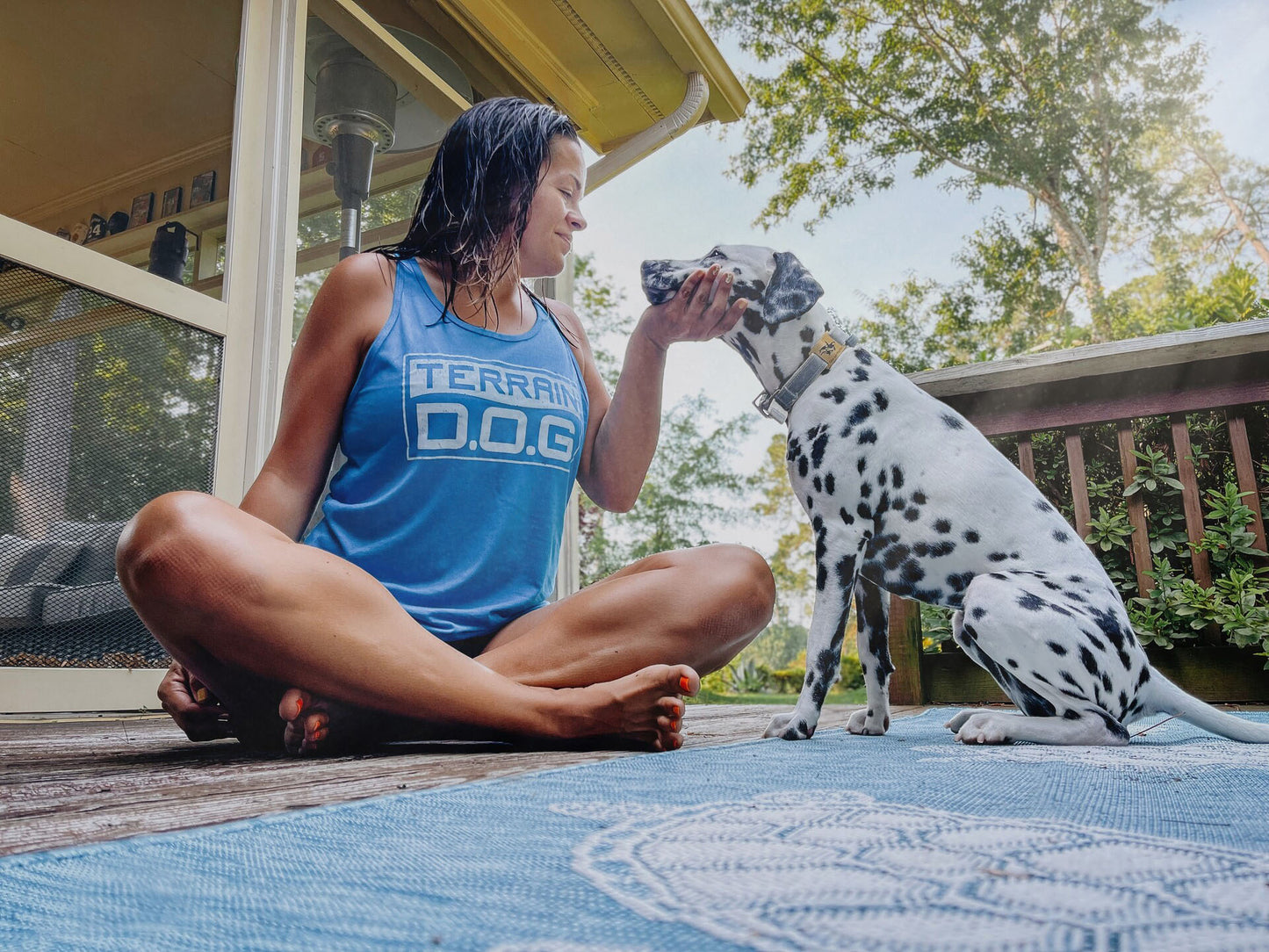 Emotional Wellness in Pets