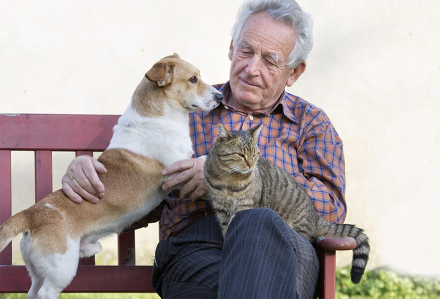 Celebrating Our Pets on National Pet Photo Day and Every Day