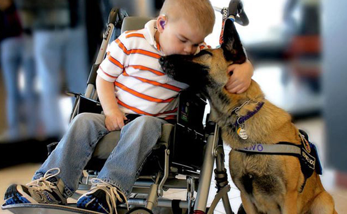 Canine Superheroes