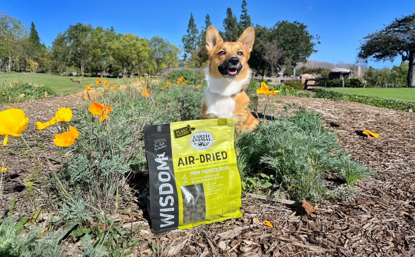The Power of Plant-Based Nutrition for Dogs: Science, Ethics, and Evolution