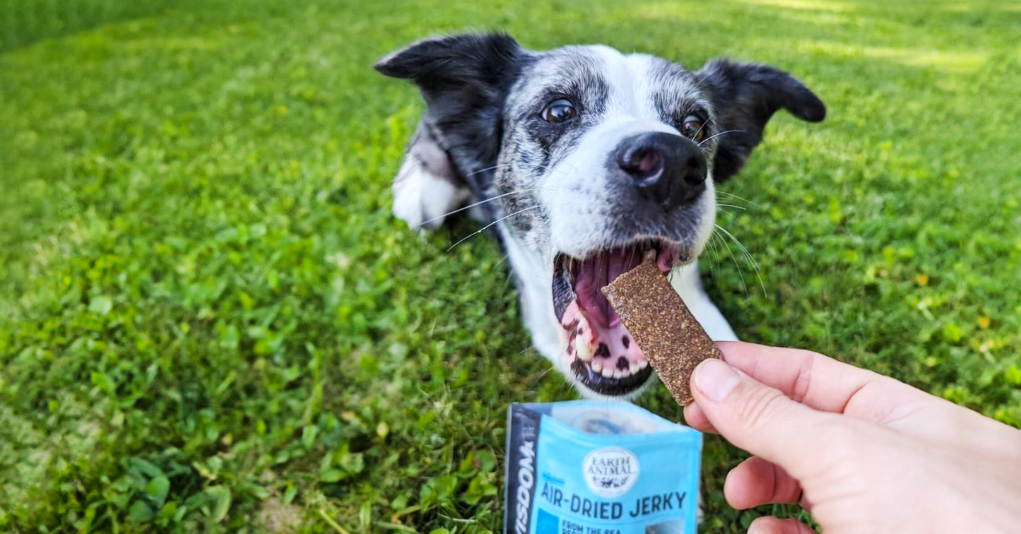 Training Your Dog with Wisdom Air-Dried Jerky
