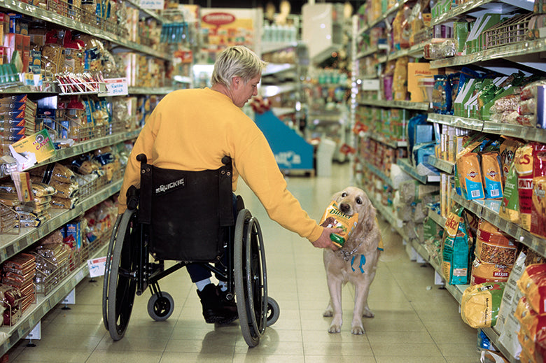 Legal Rights of Assistance Dog Handlers
