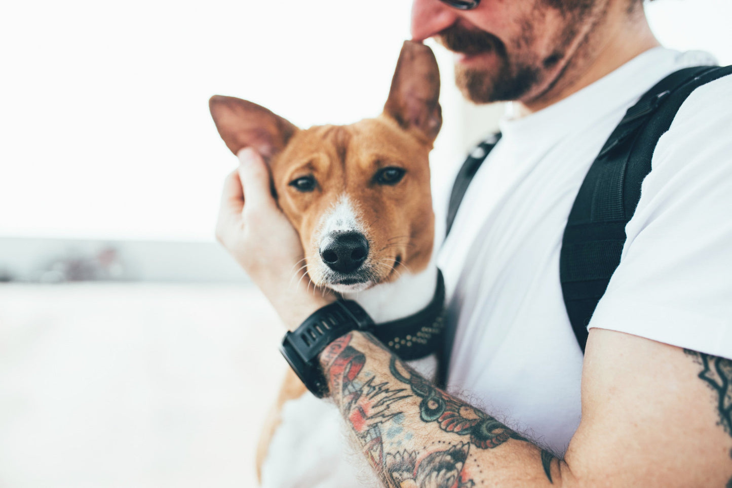 How to Help Your Anxious Dog