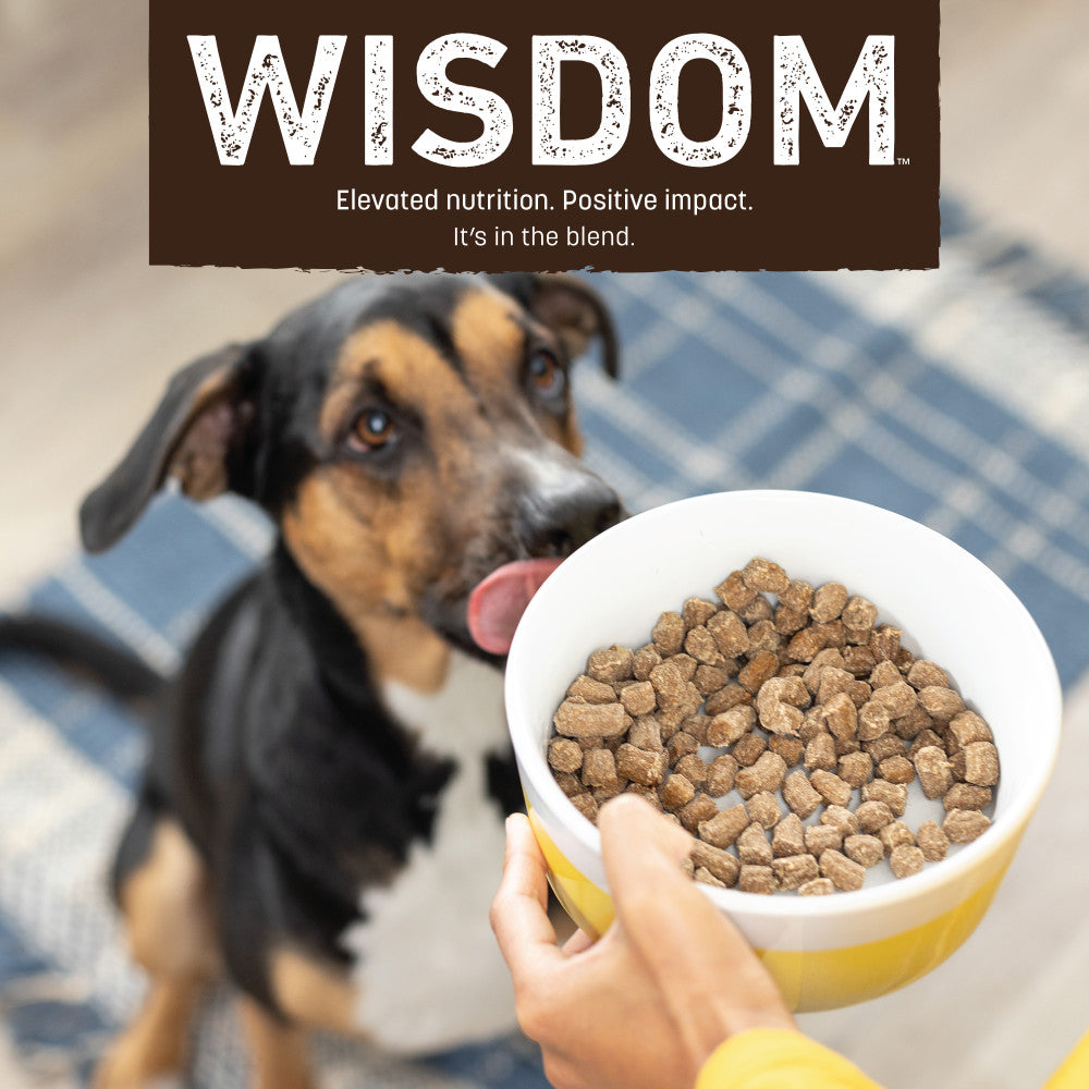 Wisdom Air-Dried Turkey Recipe Dog Food - 2 lb. (lifestyle)