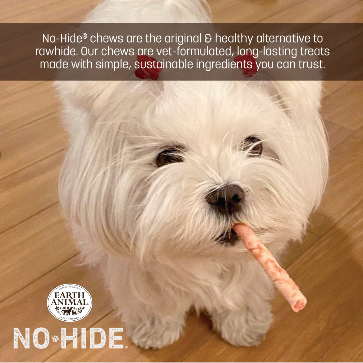 No-Hide Strawberries & Cream Stix - XS / 20 ct. Value Pack (life)
