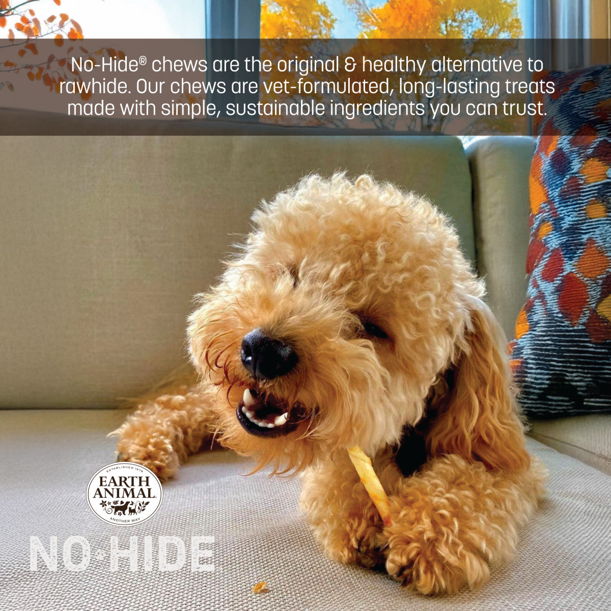 No-Hide Pumpkin Spice Stix - XS / 20 ct. Value Pack (life)