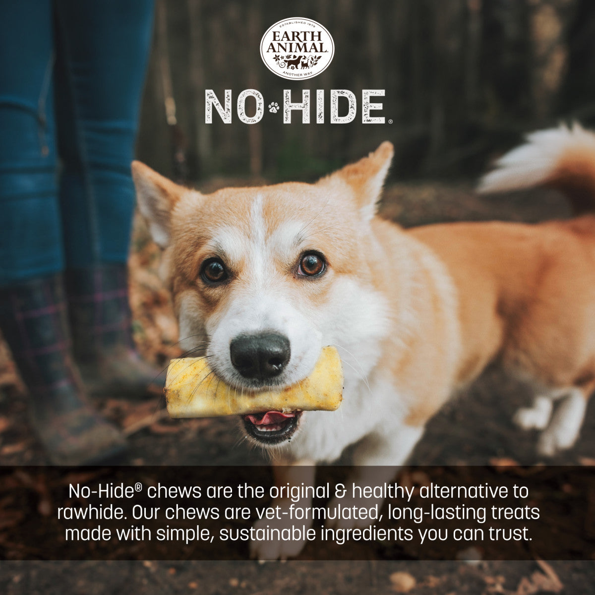 No-Hide Pumpkin Spice Rolls - Small (life)