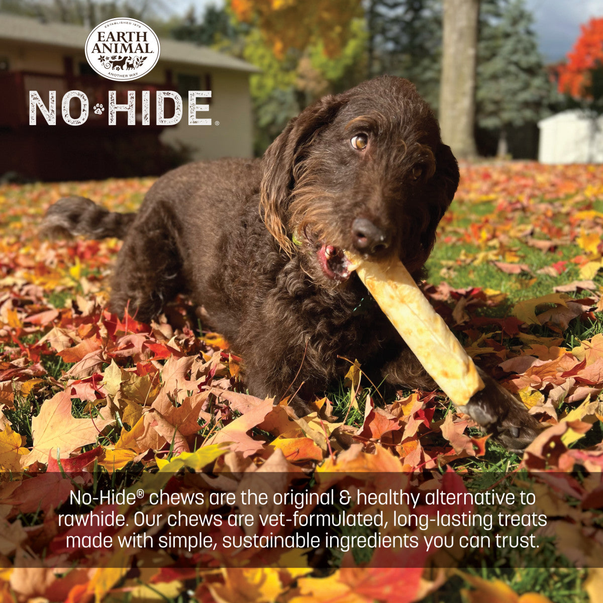No-Hide Pumpkin Spice Rolls - Medium (life)