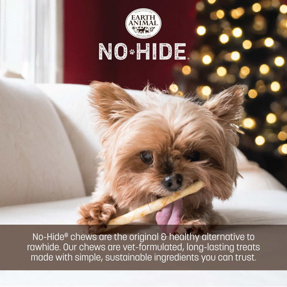 No-Hide Holiday Feast Stix - XS / 20 ct. Value Pack (life)