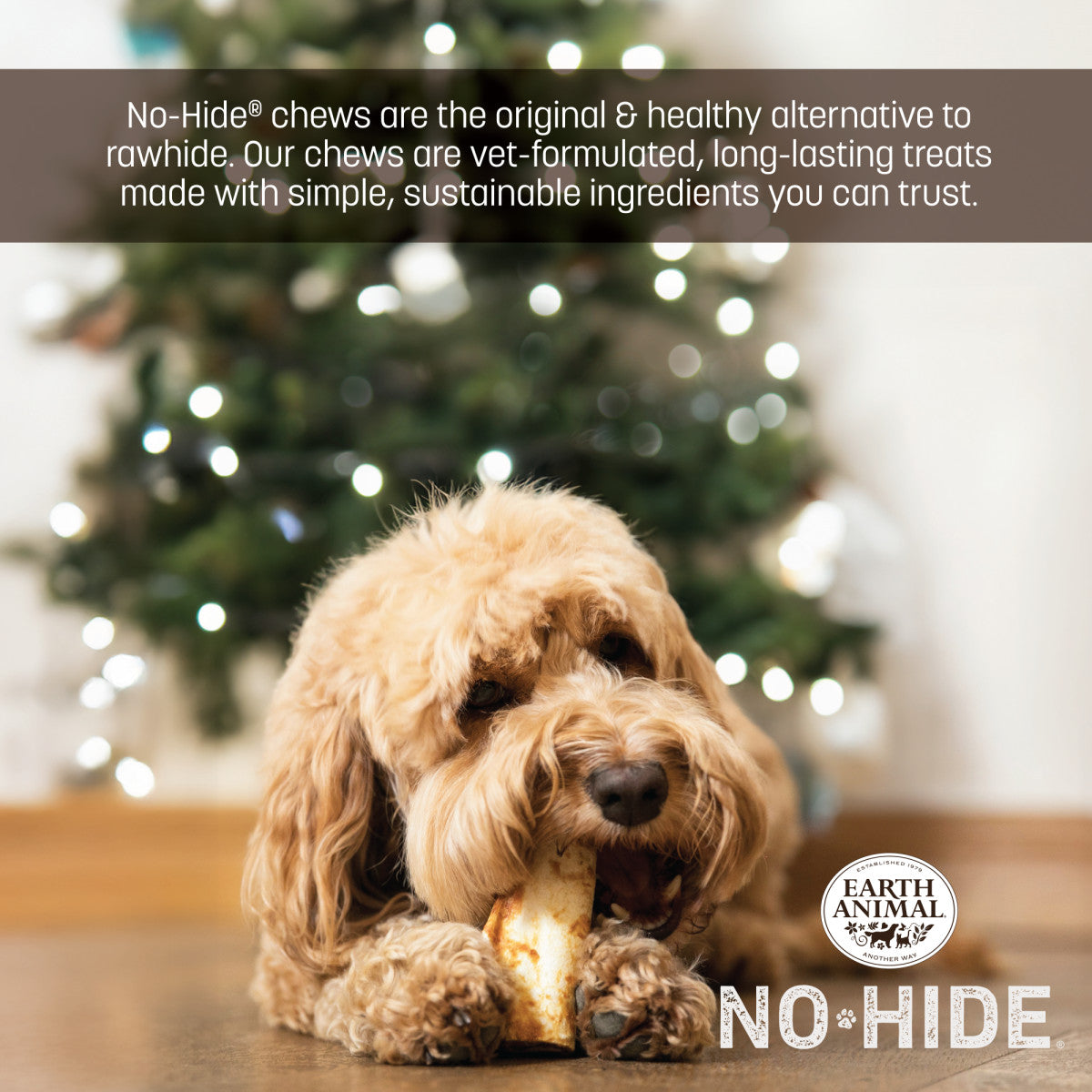 No-Hide Holiday Feast Rolls - Small (life)