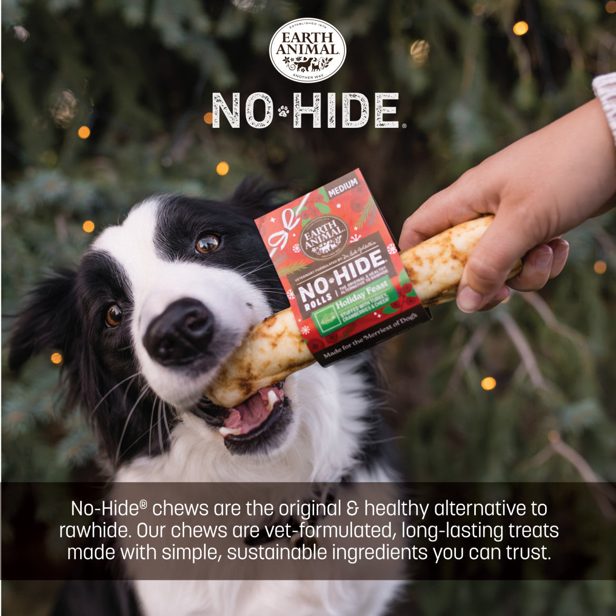 No-Hide Holiday Feast Rolls - Medium (life)