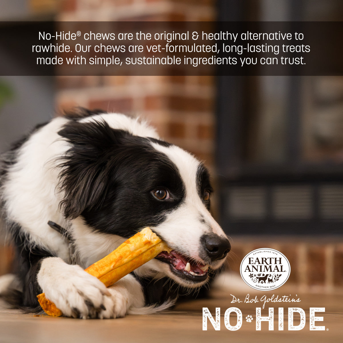 No-Hide Grilled Cheese Rolls - Small / Single (life)